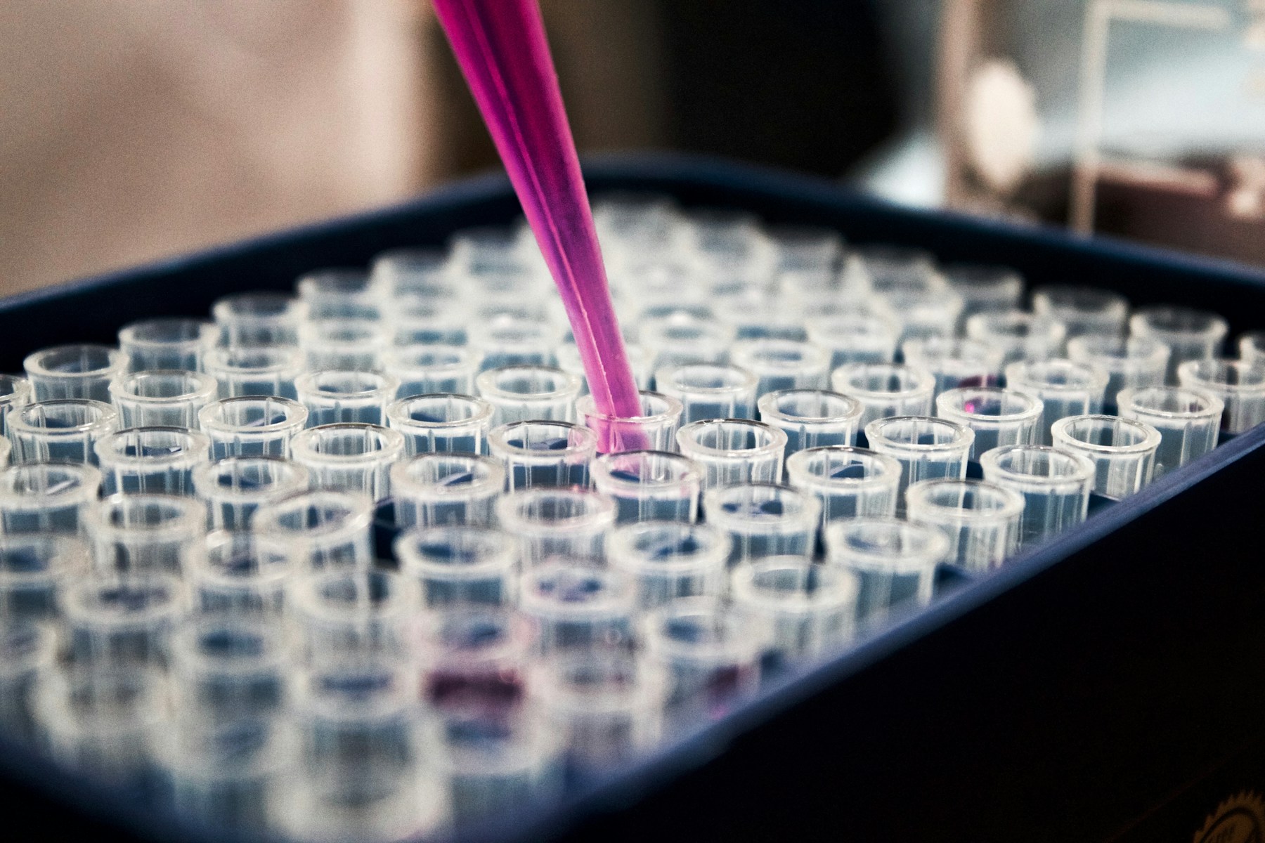 Composition conceptuelle de micro-immunothérapie avec une pipette et de multiples tubes d’analyse